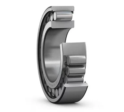 C 4120 V/VE240-Bantalan Rol Toroidal CARB